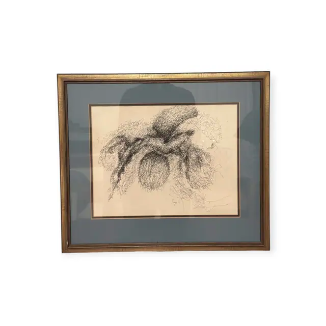 Scribbled Ink Drawing of a Blossom, Signed, Framed, 1968 - full view