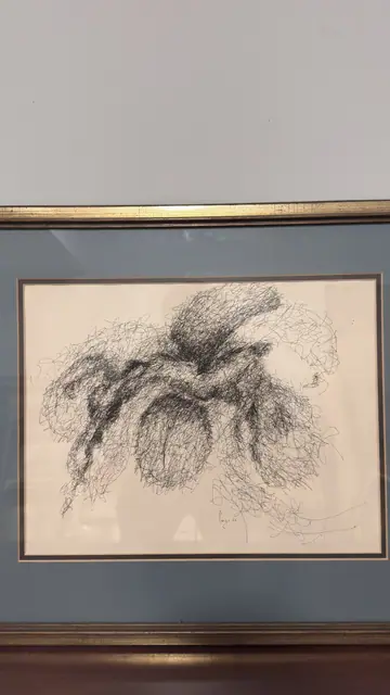 Scribbled Ink Drawing of a Blossom, Signed, Framed, 1968 - detail