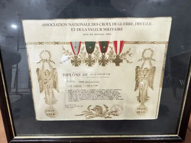 French Croix de Guerre avec Palme Diploma, 90th Infantry Division, 1946 - certificate