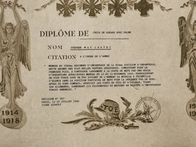 French Croix de Guerre avec Palme Diploma, 90th Infantry Division, 1946 - certificate